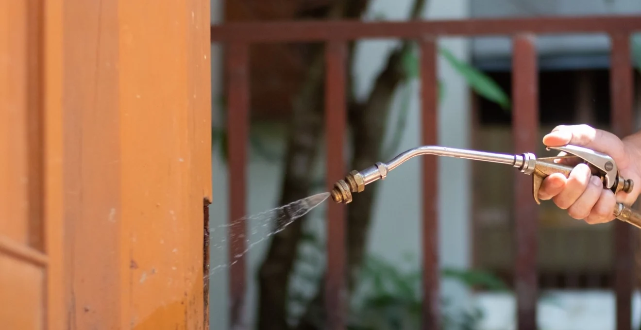 quelles-sont-les-methodes-les-plus-efficaces-pour-eradiquer-les-nuisibles-a-marseille