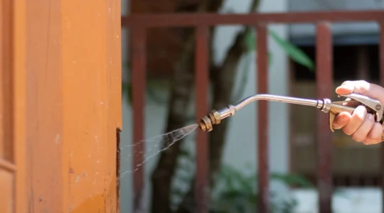 quelles-sont-les-methodes-les-plus-efficaces-pour-eradiquer-les-nuisibles-a-marseille